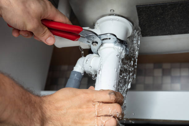 Best Water damage restoration near me  in Belhaven, NC