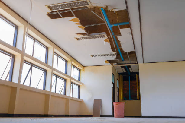 Best Ceiling water damage repair  in Belhaven, NC
