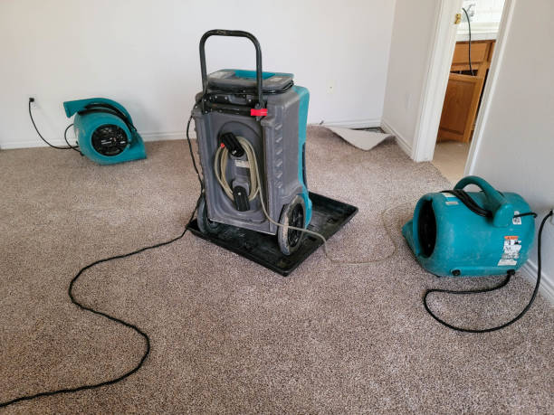 Best Water damage cleanup near me  in Belhaven, NC