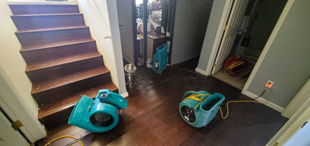 Best Professional water damage repair  in Belhaven, NC