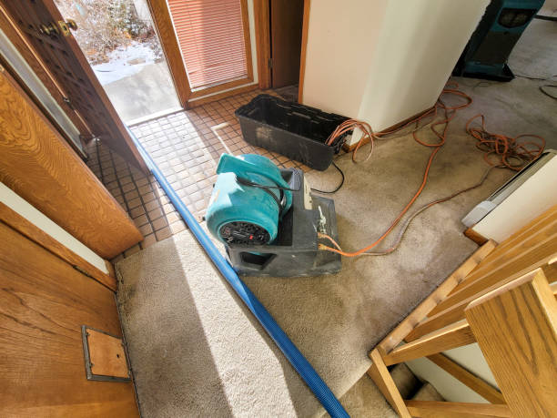 Best Ceiling water damage repair  in Belhaven, NC