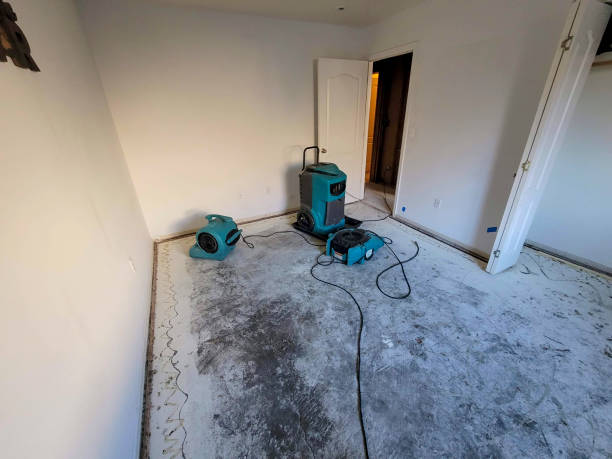 Best Water damage restoration cost  in Belhaven, NC