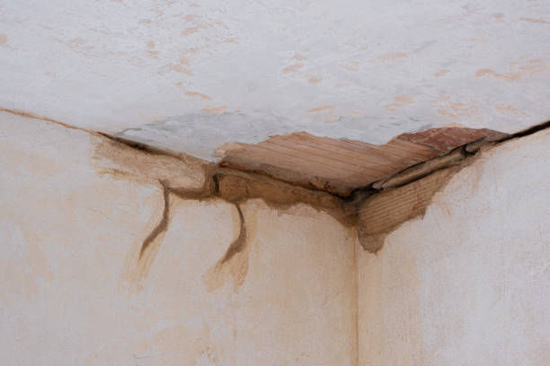 Best Fire Damage Restoration  in Belhaven, NC
