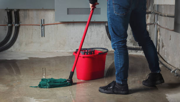 Best Water damage cleanup near me  in Belhaven, NC