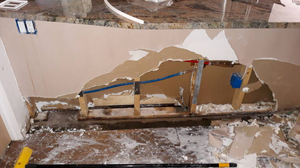 Best Carpet water damage restoration  in Belhaven, NC