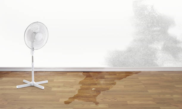 Best Residential water damage restoration  in Belhaven, NC