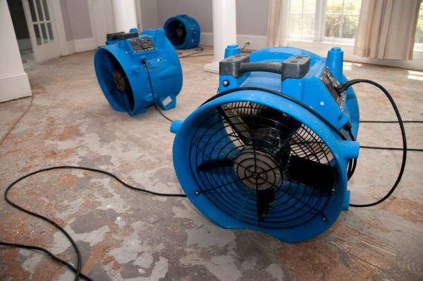 Local water damage restoration in Belhaven, NC