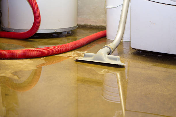 Best Flood restoration services  in Belhaven, NC