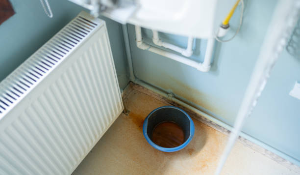 Best Water damage repair service  in Belhaven, NC